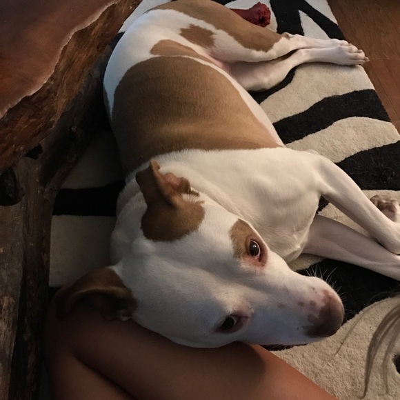 Meet your Posher, Jessica - Picture 4 of 5